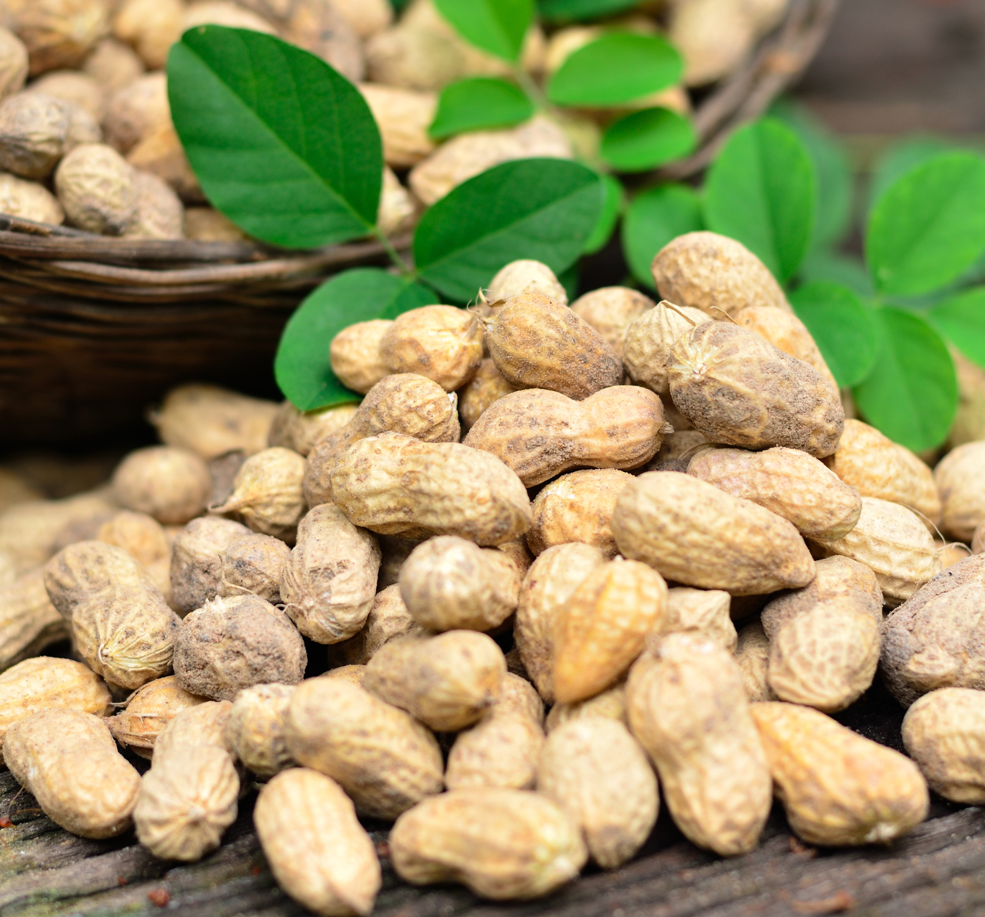 Seed Sourcing & Storage