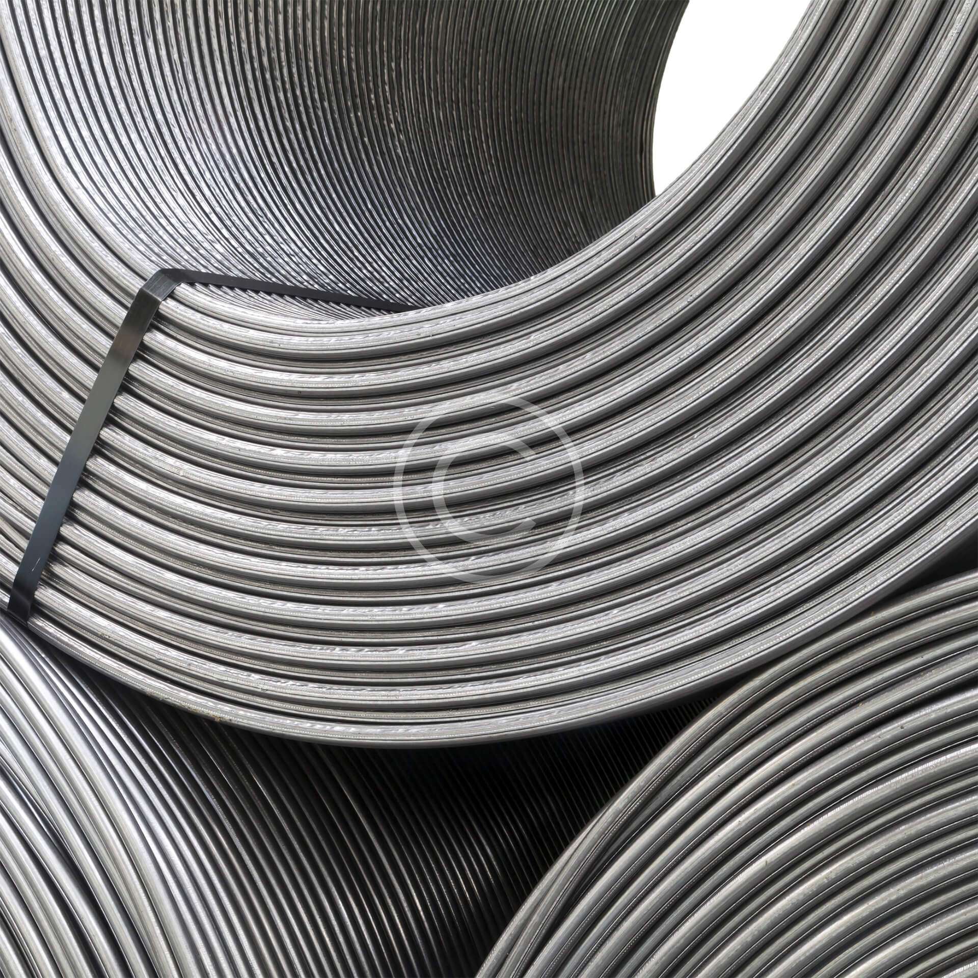 Seed Sourcing & Storage